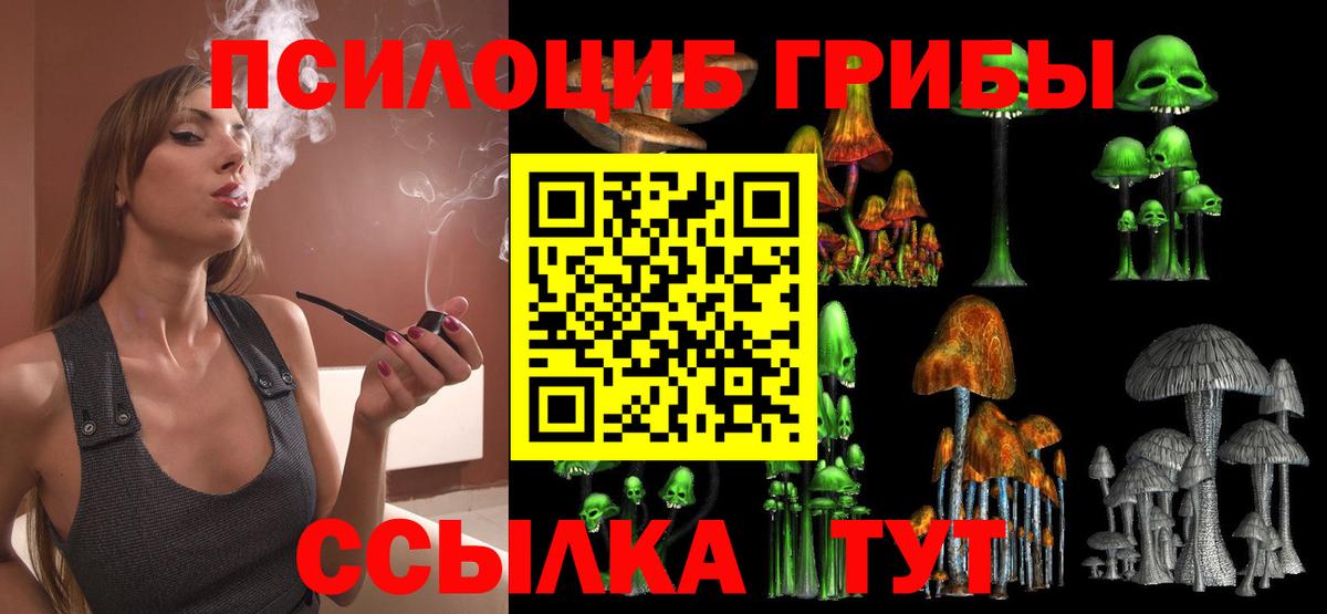 Полысаево  Псилоцибиновые грибы Psilocybe  Галлюциногенные грибы мухоморы  продажа наркотиков  Вход с VPN 
